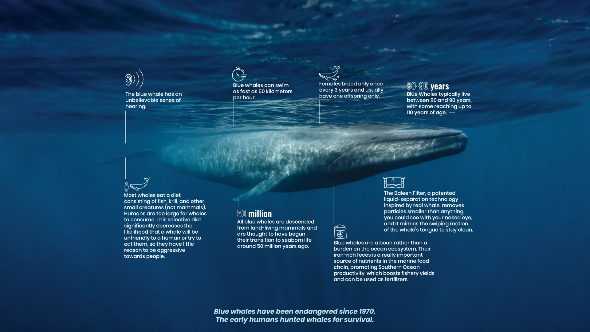 INTERNATIONAL OCEAN DAY